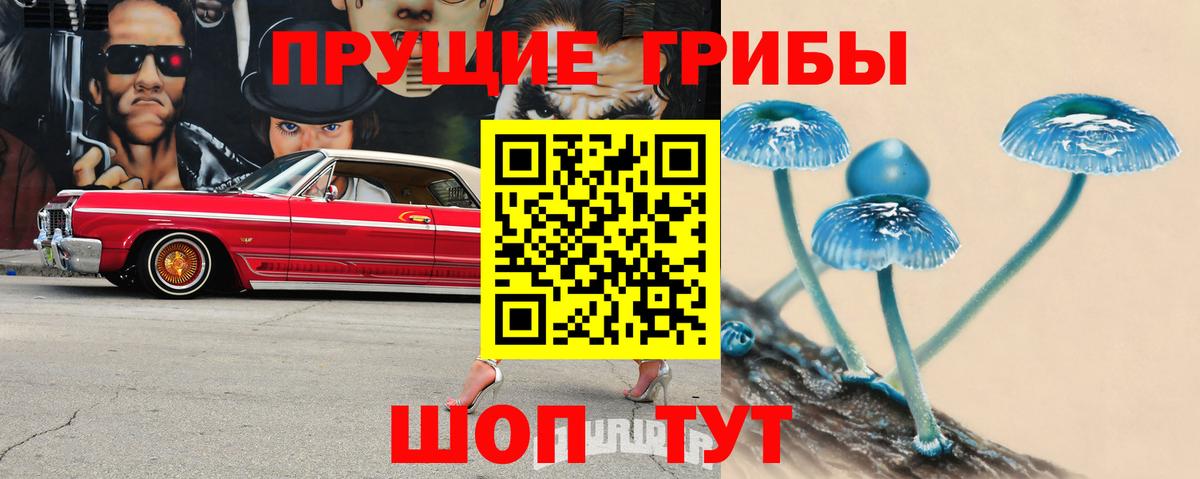 Галлюциногенные грибы Psilocybine cubensis Кропоткин