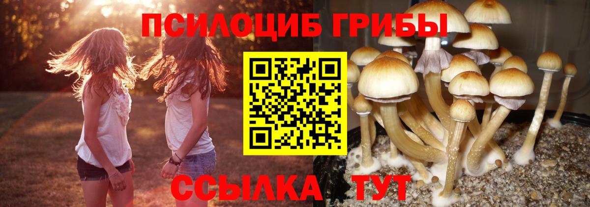 Галлюциногенные грибы MAGIC MUSHROOMS  Галлюциногенные грибы мухоморы  Кропоткин  Вход с VPN 